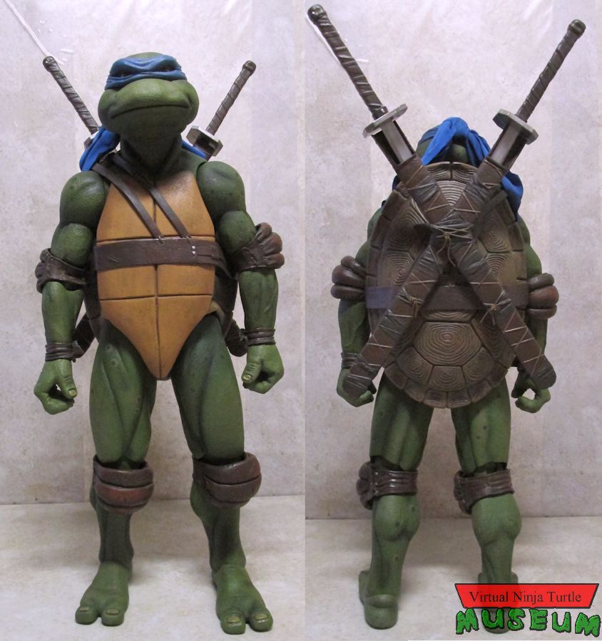 Leonardo front and back