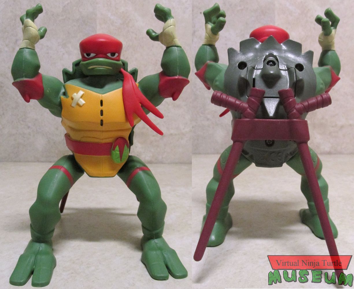 Raphael front and back