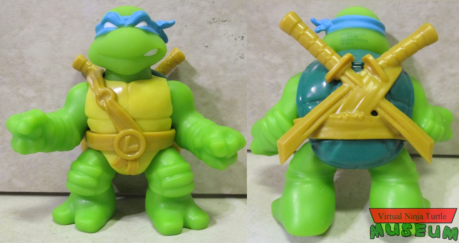 Leonardo front and back